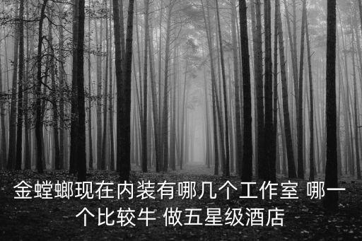金螳螂現在內裝有哪幾個工作室 哪一個比較牛 做五星級酒店