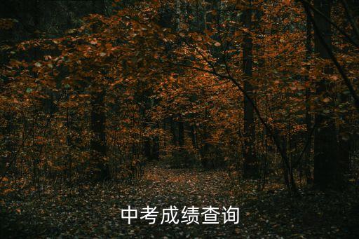 深圳蓮花北中學中考成績，中考成績單