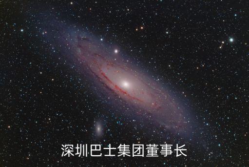 深圳巴士集團陳顯玲，深圳巴士集團董事長