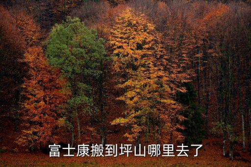 2020510深圳坪山著火，比亞迪f3儀表正常打不起火來咋會(huì)事呢請(qǐng)教