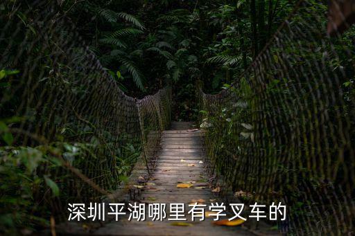 深圳平湖富民叉車出租，平湖學叉車要多少錢深圳平湖怎么找一家好的叉車培訓機構