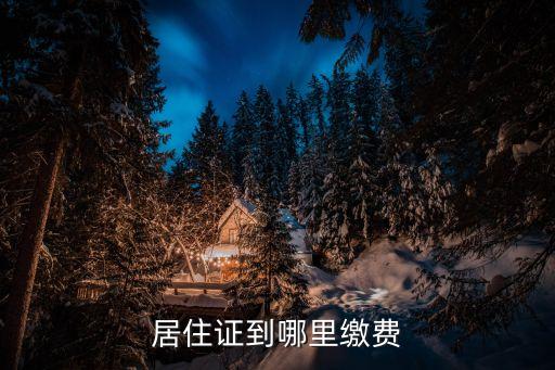 深圳居住證補發(fā)在哪繳費，補辦深圳居住證怎么繳費