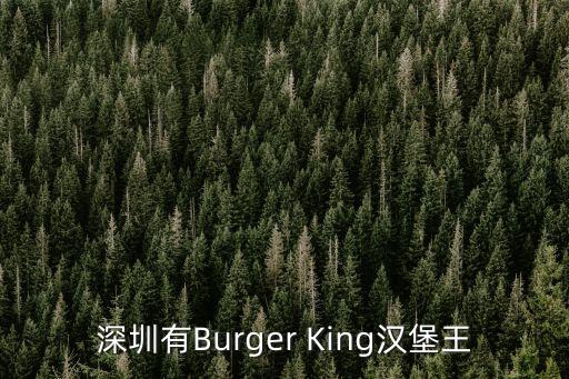 深圳小龍蝦漢堡，肯德基新品小龍蝦漢堡單價(jià)多少錢