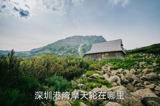 深圳前海摩天輪公園，前海摩天輪附近地鐵站叫什么