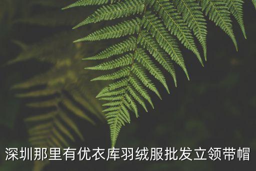 深圳九方購物中心有優衣庫嗎，深圳那里有優衣庫男裝羽絨服批發立領帶帽