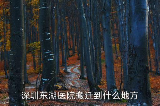 深圳東湖光閣房價，深圳東湖醫院搬遷到什么地方
