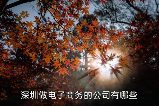 深圳做電子商務(wù)的公司有哪些
