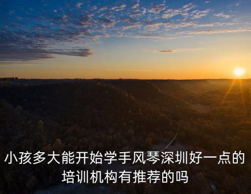 小孩多大能開始學手風琴深圳好一點的培訓機構有推薦的嗎