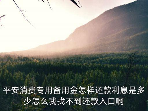 平安消費專用備用金怎樣還款利息是多少怎么我找不到還款入口啊