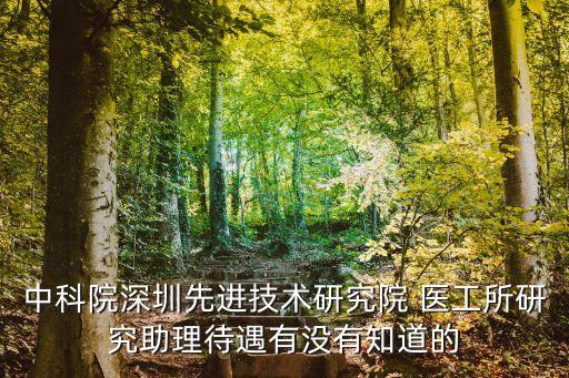 深圳先進(jìn)技術(shù)研究院研究生補(bǔ)貼，中科院深圳先進(jìn)技術(shù)研究院 醫(yī)工所研究助理待遇有沒有知道的