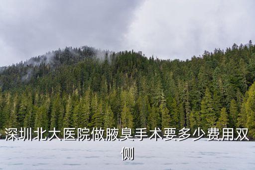 深圳北大醫院做腋臭手術要多少費用雙側