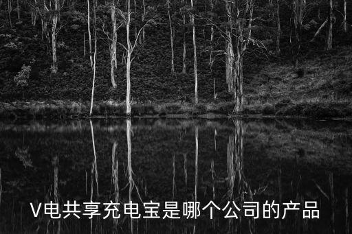 V電共享充電寶是哪個公司的產(chǎn)品