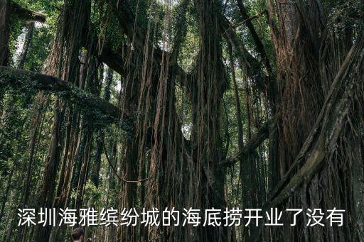深圳海雅繽紛城的海底撈開業了沒有