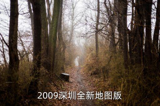 2009深圳全新地圖版
