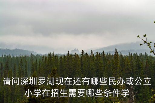 請(qǐng)問深圳羅湖現(xiàn)在還有哪些民辦或公立小學(xué)在招生需要哪些條件學(xué)