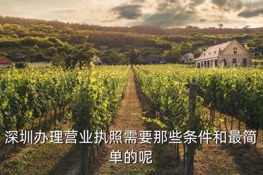 2020年深圳辦營業(yè)執(zhí)照需要什么資料，在深圳辦理營業(yè)執(zhí)照需要什么材料
