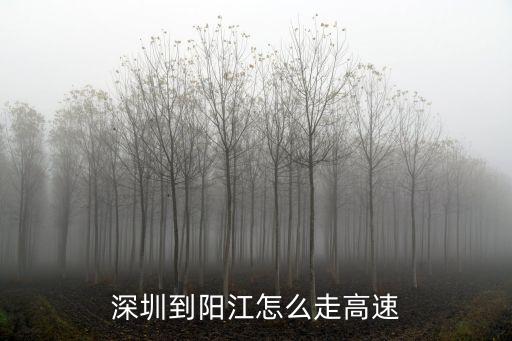 深圳到陽(yáng)江怎么走高速