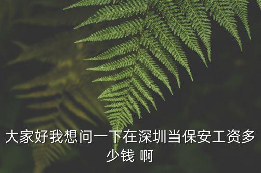 大家好我想問一下在深圳當(dāng)保安工資多少錢 啊