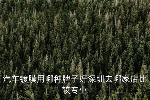 汽車鍍膜用哪種牌子好深圳去哪家店比較專業
