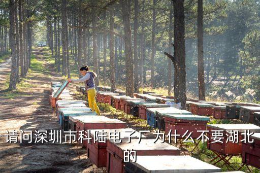 深圳各大廠不要湖北，請問深圳市科陸電子廠為什么不要湖北的