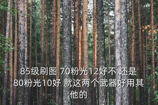 85級刷圖 70粉光12好不 還是80粉光10好 就這兩個武器好用其他的
