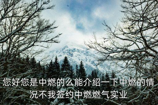 豐城市深圳燃氣電話，深圳然氣公司送氣電話