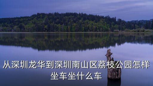 深圳到荔枝公園坐幾路車，從深圳龍華到深圳南山區荔枝公園怎樣坐車坐什么車