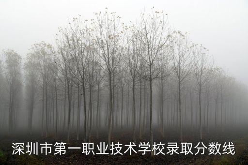 深圳市第一職業(yè)技術(shù)學(xué)校錄取分?jǐn)?shù)線