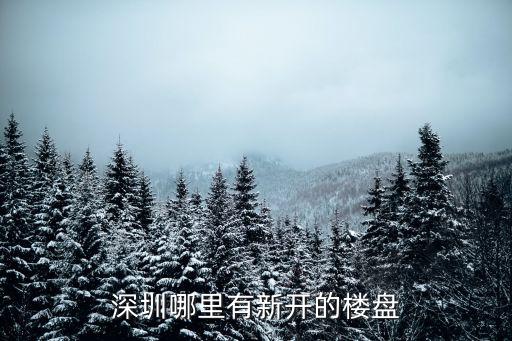 合正2019年深圳新開盤樓房，深圳龍華大浪石巖或周邊有沒有房子買最好是新開的樓盤當然