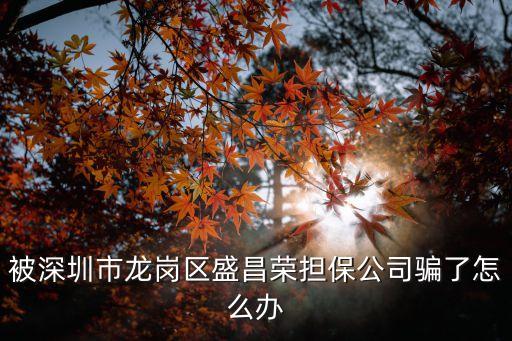 被深圳市龍崗區盛昌榮擔保公司騙了怎么辦