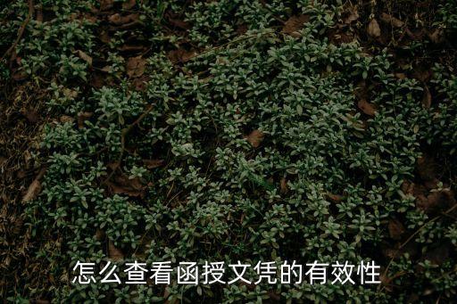 深圳成考誠推華研教育，怎么查看函授文憑的有效性