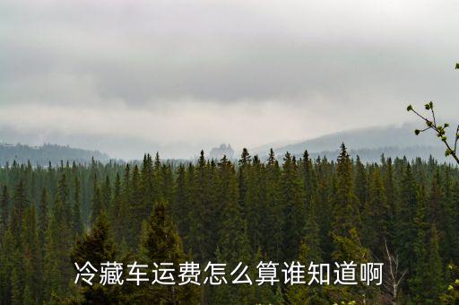 冷藏車上海到深圳運費多少錢，冷藏車運費怎么算