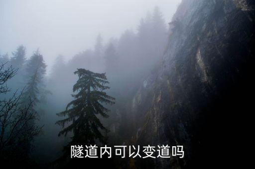 深圳隧道內(nèi)變更車道，隧道內(nèi)可以變道嗎