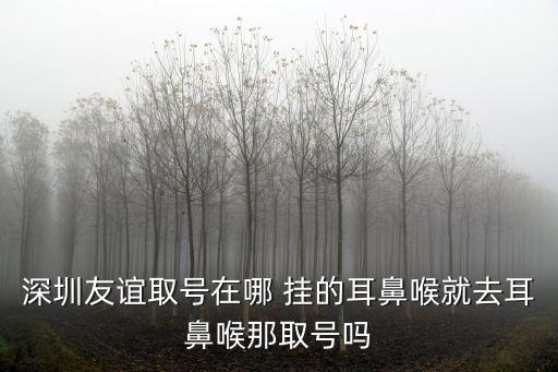 深圳友誼用心耳鼻喉，深圳友誼門診部耳鼻喉環(huán)境好嗎