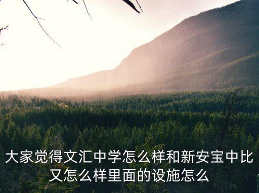 大家覺(jué)得文匯中學(xué)怎么樣和新安寶中比又怎么樣里面的設(shè)施怎么