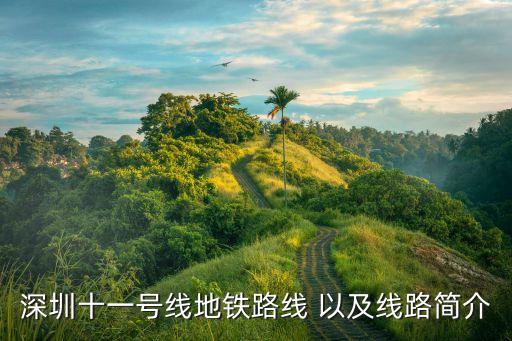 深圳十一號線地鐵路線 以及線路簡介