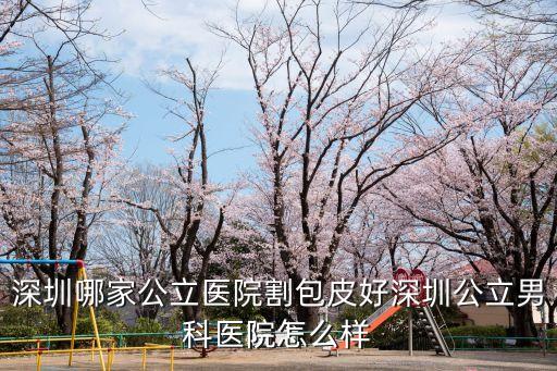 深圳哪家公立醫院割包皮好深圳公立男科醫院怎么樣