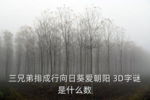 三兄弟排成行向日葵愛(ài)朝陽(yáng) 3D字謎是什么數(shù)