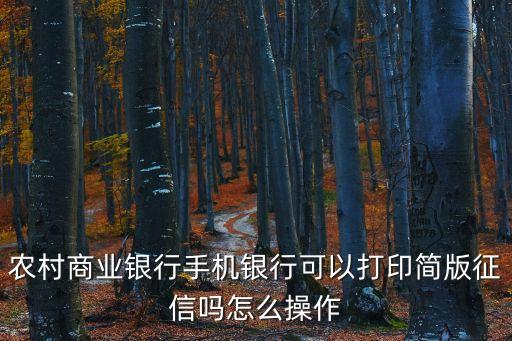 深圳農村商業銀行可以打征信報告嗎，深圳哪里可以辦理打印個人征信報告 之前沒開過信用卡之類的網上