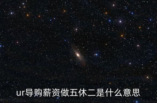 ur導(dǎo)購薪資做五休二是什么意思