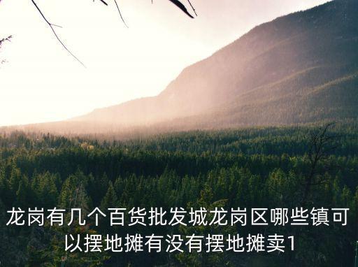 龍崗有幾個百貨批發(fā)城龍崗區(qū)哪些鎮(zhèn)可以擺地攤有沒有擺地攤賣1