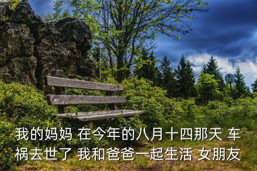 2017深圳8月14號車禍，14號發生車禍 事發當天 對方除了2根手指有骨裂之外
