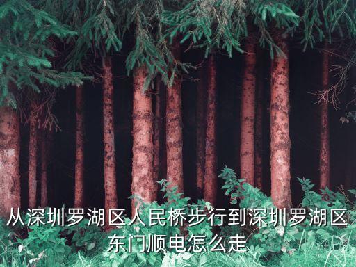 深圳東門順電在哪里，深圳東門順電在哪里啊