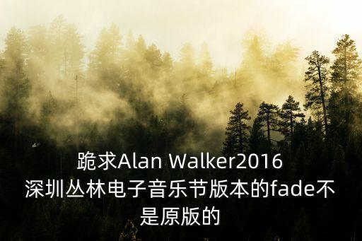 深圳叢林電音節2020，為什么叢林電音節今年這么火