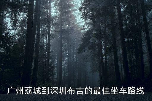 廣州到深圳布吉怎么走最好，我想從廣州到深圳布吉 怎么坐車