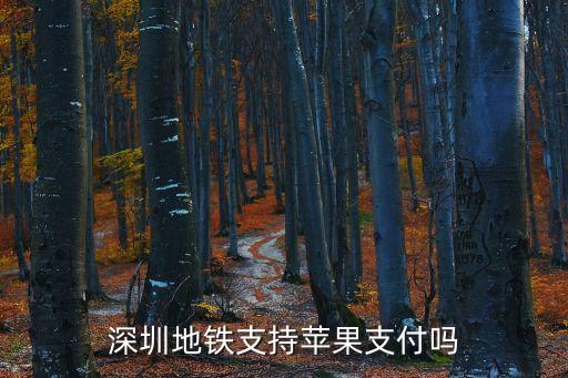 深圳地鐵 apple pay 余額不足，深圳地鐵支持蘋果支付嗎