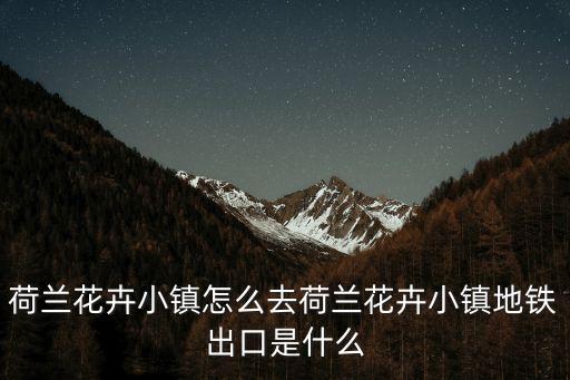 深圳南山荷蘭小鎮交通事件，荷蘭有個小鎮 汽車不允許進入都使用自行車 有很多花 除了有次房子失火消