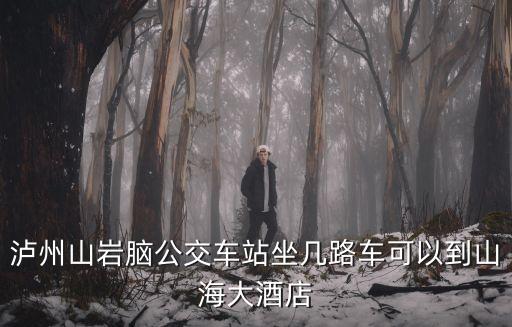 深圳綠景公館1866小區幼兒園，瀘州山巖腦公交車站坐幾路車可以到山海大酒店