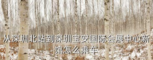 從深圳北站到深圳寶安國(guó)際會(huì)展中心新館怎么乘車(chē)