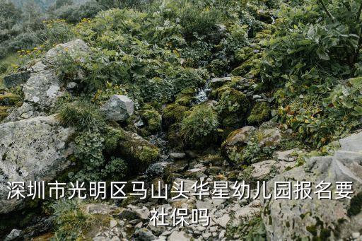 深圳市光明區(qū)馬山頭華星幼兒園報(bào)名要社保嗎